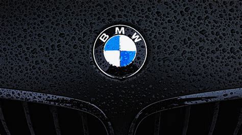 Bmw Motorsport Bmw Logo Wallpaper 4K - Bmw M5 Logo Wallpapers Wallpaper Cave : In case you are ...