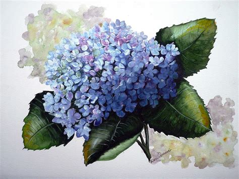 Blue Hydrangea Painting by Karin Dawn Kelshall- Best - Pixels