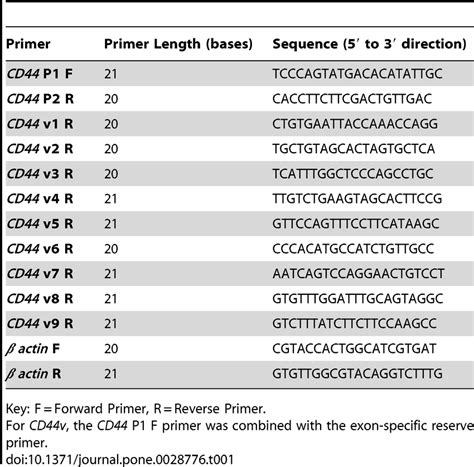 RT-PCR Primer Sequences. | Download Table