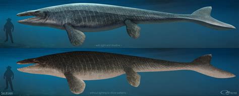 Saurian-Mosasaurus by arvalis on DeviantArt