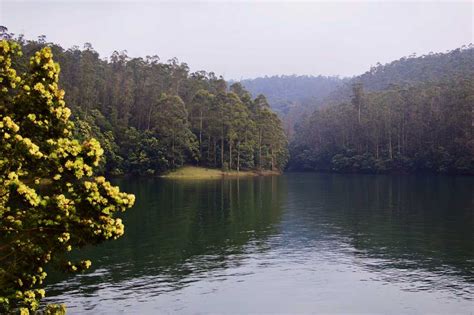 Pykara Lake, Ooty - Boating, Timings & Images