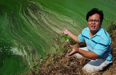 Wow Water Pollution in Lake Taihu China is Horrible | Pollution Image Info