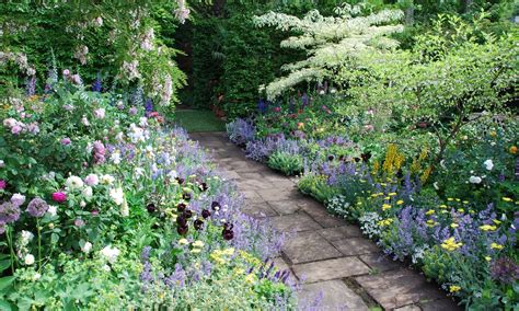 Gardening for beginners: the cheat’s guide to herbaceous borders ...