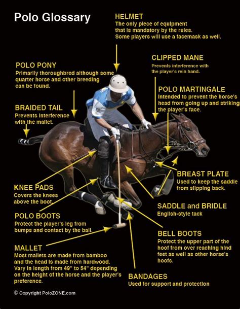 Polo Equipment | PoloZONE