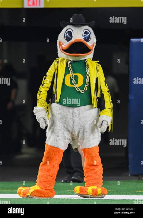 August 31, 2019: The Oregon mascot before the NCAA Advocare Classic ...