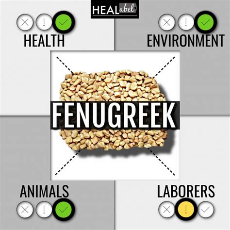 Fenugreek Benefits, Side Effects: Pros And Cons