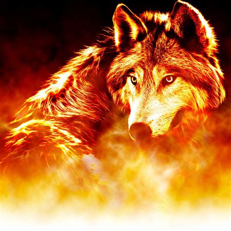 Cool Fire Wolf Wallpapers - Top Những Hình Ảnh Đẹp