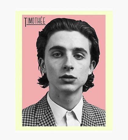 Timothee Chalamet Wall Art for Sale | Pink posters, Picture collage ...