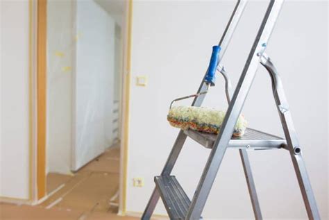 Top 5 Best Ladders for Painting | Homely Ville