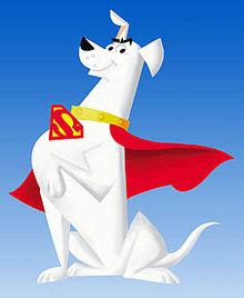 Homemade Krypto the Superdog Costume (For a Baby) Instructions ...