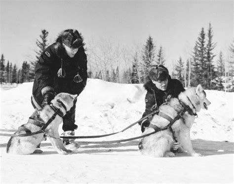 RCMP Heritage Centre | BLOG: RCMP & Dogs in the North