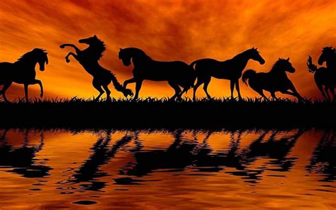 Sunset Horse Silhouette Acrylic Painting Hd Wallpaper : Wallpapers13.com