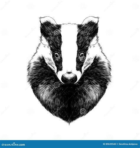 Badger Cartoons, Illustrations & Vector Stock Images - 4923 Pictures to ...