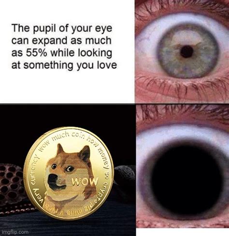 Dogecoin - Imgflip