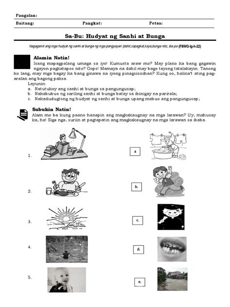 Sanhi At Bunga Worksheet Kindergarten