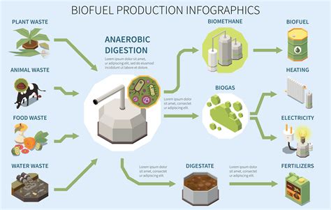 Biofuel Production Infographics 25803136 Vector Art at Vecteezy