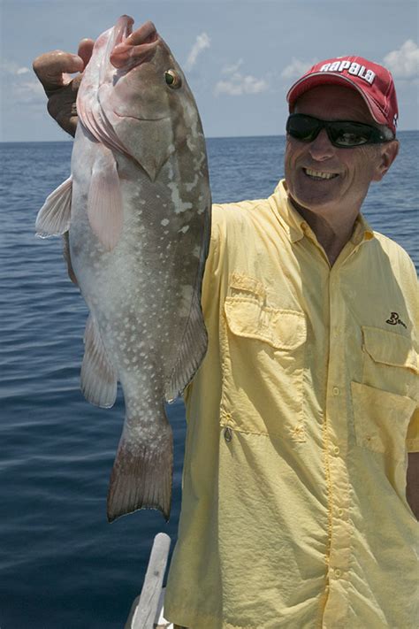 Hot Fishing in Gulf of Mexico. - Canadian Sportfishing