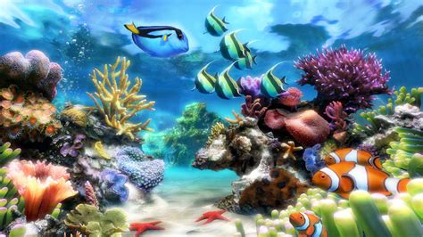 Aquarium Desktop Wallpapers - Top Free Aquarium Desktop Backgrounds - WallpaperAccess