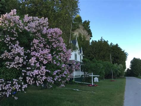 Mackinac Island Lilac Festival [Photos]