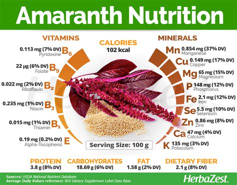 Amaranth | HerbaZest