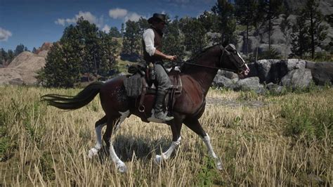 Dutch Warmblood - Red Dead Redemption 2 Mod