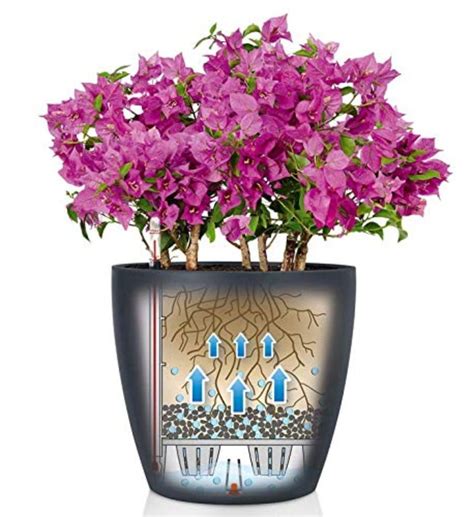 How Do Self Watering Pots Work? - Smart Garden Guide