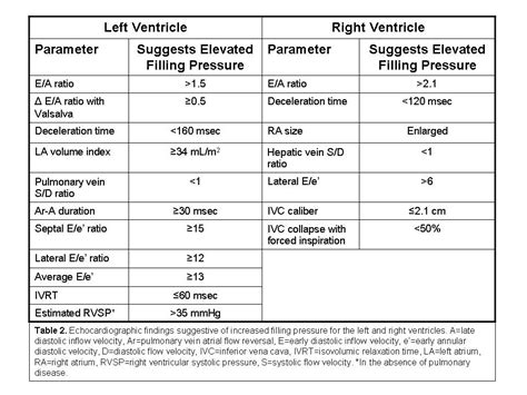 Use of the Echocardiogram to Define the Presence, Extent, and Etiology of Cardiac Dysfunction