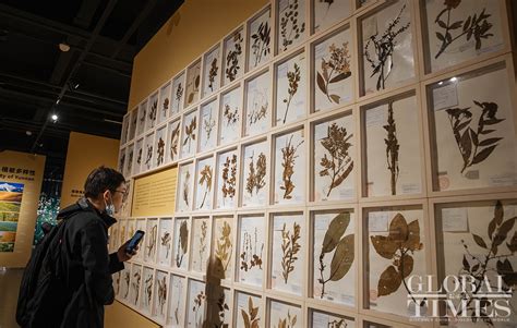 Seeds can be colorful at China's first seed museum - Global Times