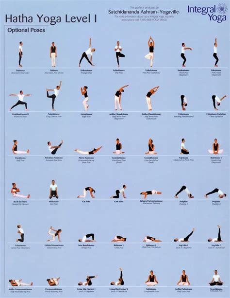 Your Yoga Class | Hatha yoga poses, Vinyasa yoga, Hatha yoga sequence