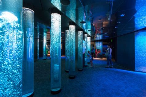 National Aquarium in Baltimore Exhibit Design | CambridgeSeven