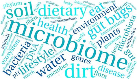 Microbiome Word Cloud — Stock Vector © arloo #91839956