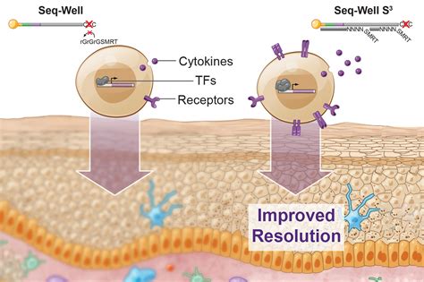 Technique recovers lost single-cell RNA-sequencing information | MIT ...