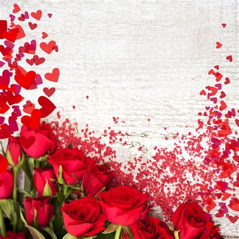 Valentine's Day Rose Wall Photography Backdrop Photo Studio Background Sale