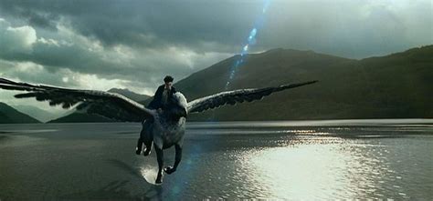 Buckbeak | Harry Potter and the Prisoner of Askaban (2004) | Guardian ...