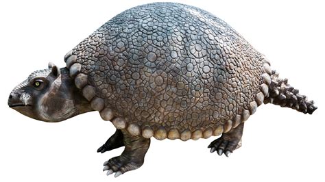 Facts About The Extinct Glyptodon, The Giant Armadillo