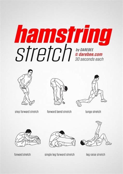 Hamstring Stretch workout. #DynamicStretching | Post workout stretches, Hamstring workout ...