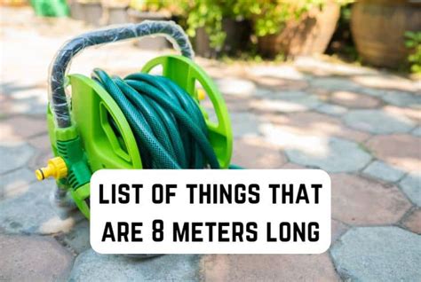 9 Common Things That are 8 Meters Long | Measuringly