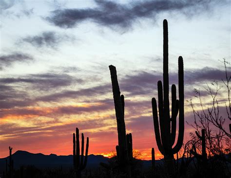 Red Sky At Night Photograph by Focus On Nature Photography | Fine Art America