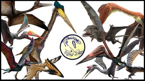 DINOSAURS SIZE COMPARISON | PTEROSAURS | The flying dinosaurs - YouTube