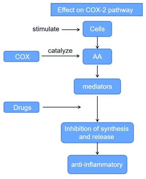 Effect on Cyclooxygenase-2 pathway. | Download Scientific Diagram