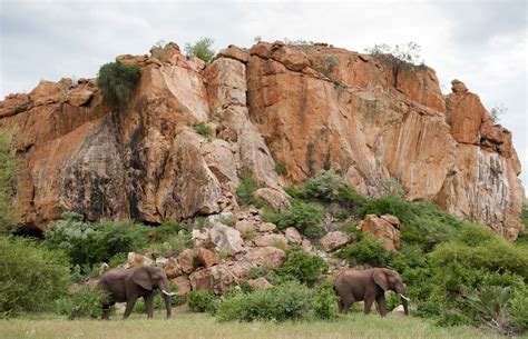 mapungubwe-national-park- | National parks, Africa, South africa