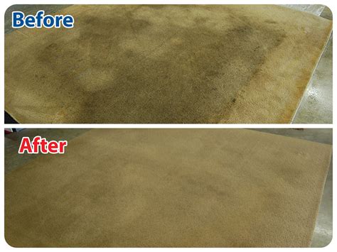 Carpet Cleaning Services in Knoxville TN | Marble Cleaning in Knoxville ...