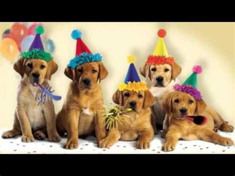 Cute Dogs Bark the "Happy Birthday" Song - YouTube