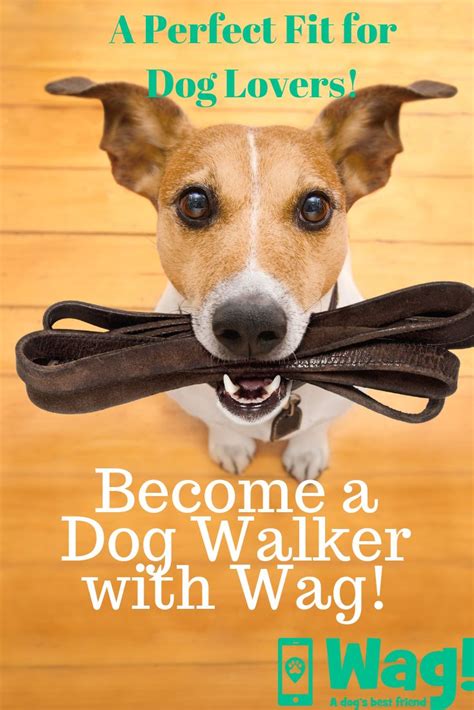 Become a Wag! Dog Walker | Dogs, Dog walking, Pet sitting jobs