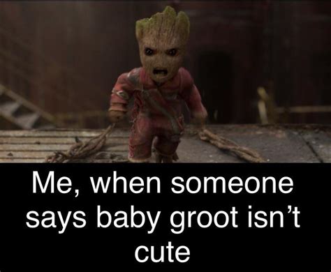 Me, when someone says baby groot isn’t cute! : r/marvelmemes