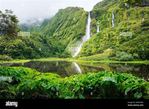 Waterfalls, green paradise hidden in Flores Island, Azores, Portugal ...