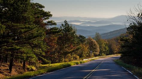 Peak Fall Foliage Arkansas 2023 - Winter 2023