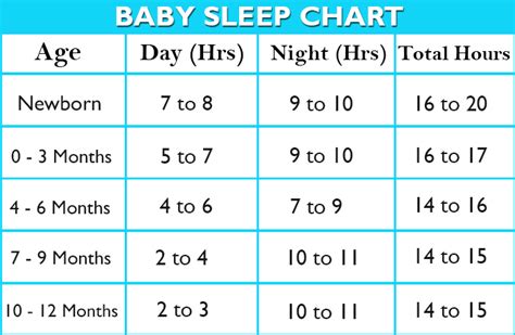 Baby Sleep Timeline - Newborn to 12 months