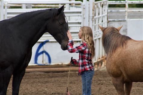 Fall Fairs in Boundary Country - West Coast Traveller