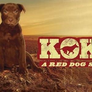 Koko: A Red Dog Story (2019) - Rotten Tomatoes